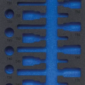 Bulkbestelling BGS 4119-1 Gereedschapmodule 1/3 leeg voor BGS 4119