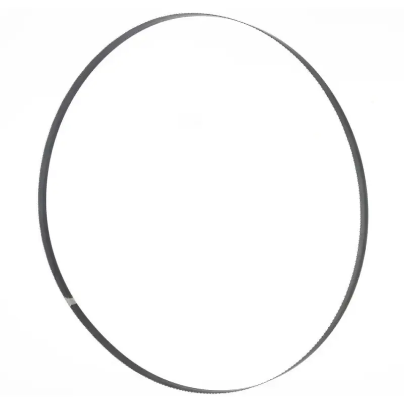 Direct Beschikbaar Holzmann BS210GNIRO_8/12 Bandzaagblad M42 2110x20x0,9mm 8/12 ZpZ