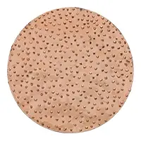 Rokamat 23205 Hardmetalen schuurschijf ø200 medium Ambachtelijk